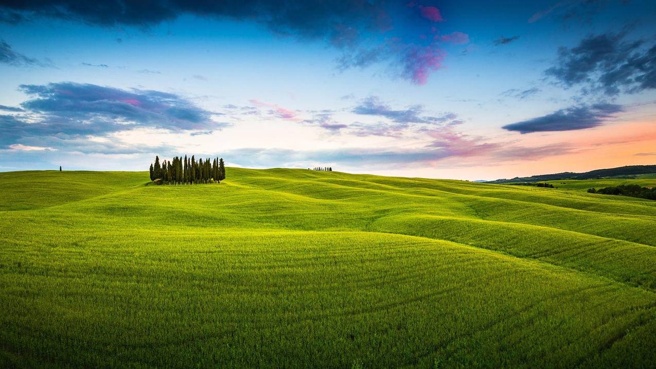 免费快手评论刷赞网站 - 微博业务在线自助下单平台,每天免费领QQ赞的网址