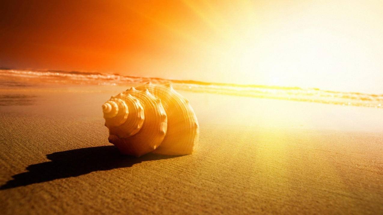 24小时自助平台下单快手点赞 - 快手刷粉丝网站平台大众,诚信快手代刷网,给快手点赞平台,快手刷赞一毛