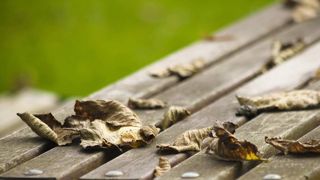 澳洲苹果ID全新分享2024应用商城账号[iPhone账号改变一切]_海外appleid