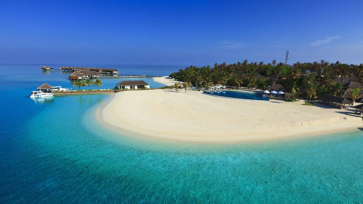 nba2kol2最强自建c_nba2kol2自建球员哪个好 - IOS分享 - 55dz账号网