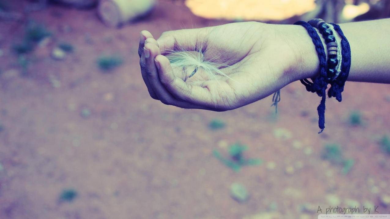iPhone苹果切换退出appleID后照片不见了怎么办 ， 苹果id换了照片没有了怎么恢复?  - 55dz账号网
