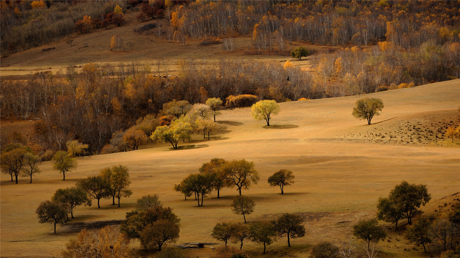 日本Apple ID免费账号租用[保证不停用]_海外账号购买网
