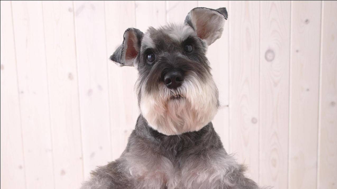 如何小红书查QQ - 自助平台 - dy业务网