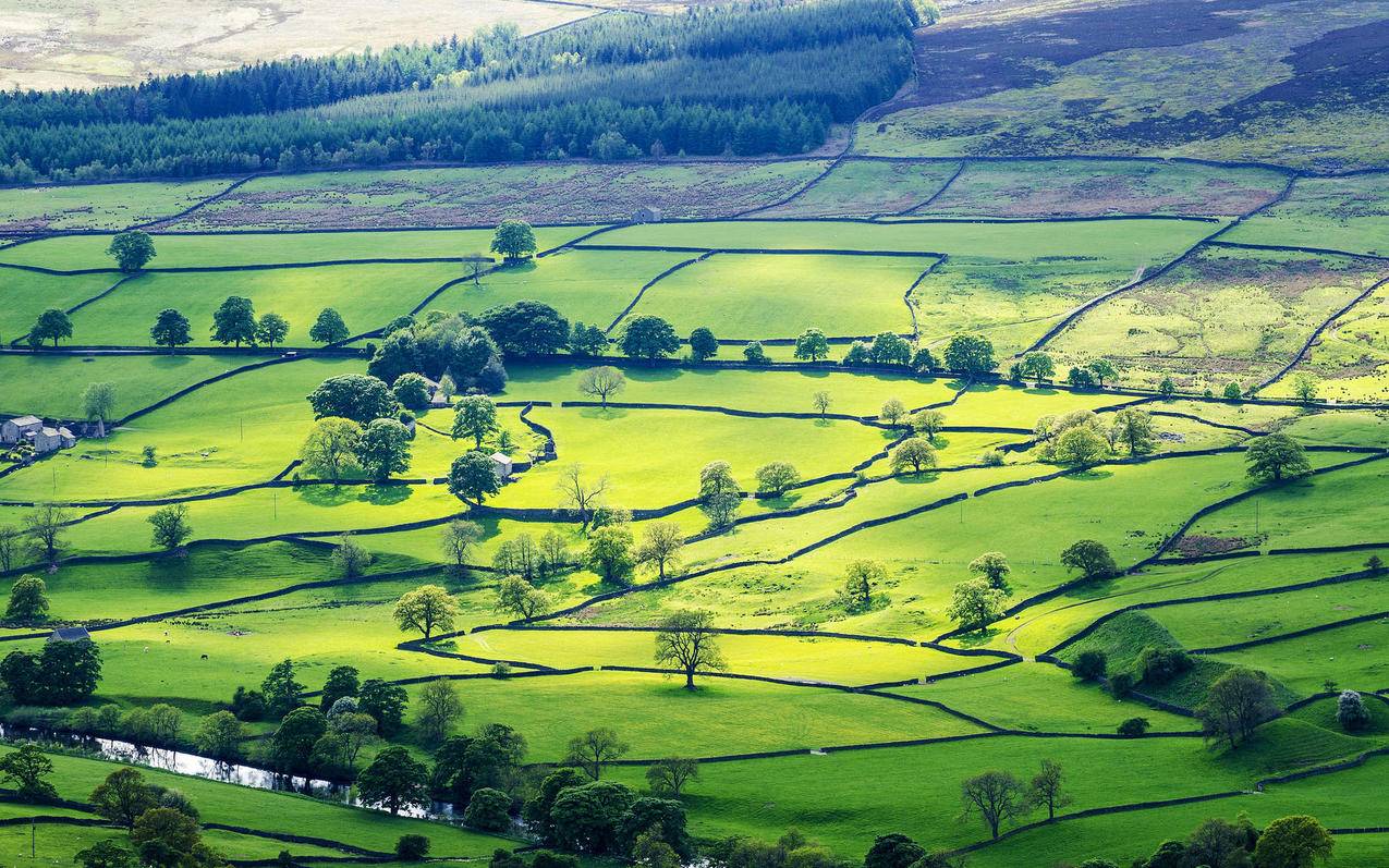 越南appleid怎么解绑邮箱 - 各区苹果ID - 55dz账号网