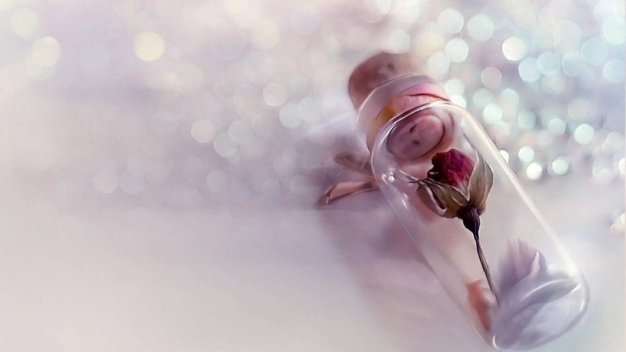 高中数学课程包含哪些核心内容？ - 自助下单ks - ks24小时自助