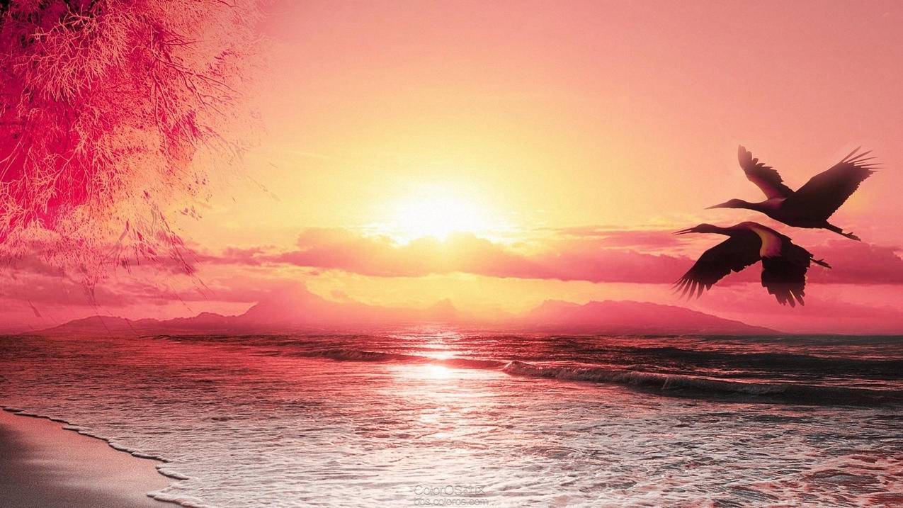 高中数学公理有哪些？它们如何奠定数学基础？ - 自助下单ks - ks24小时自助