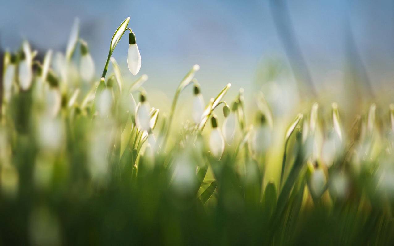 ins用邮箱登陆不了_没有邮箱怎么登陆ins - INS相关 - 55dz账号网