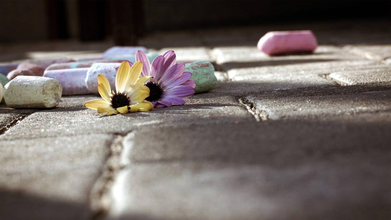 退出日本苹果id手机上的软件会消失吗_日本苹果app store怎么退出id账号 - 日本苹果ID - 55dz账号网