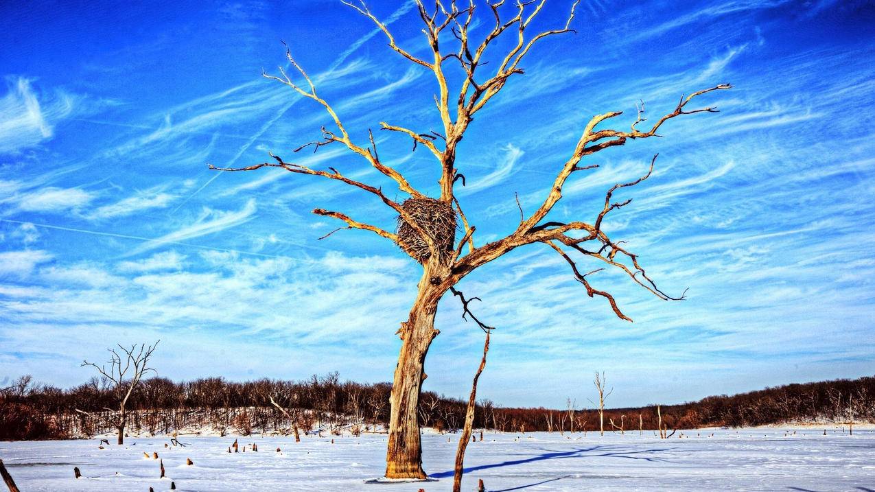 台湾苹果id改手机号码之前号码没用了_appleid改台湾 - 台湾苹果ID - 55dz账号网