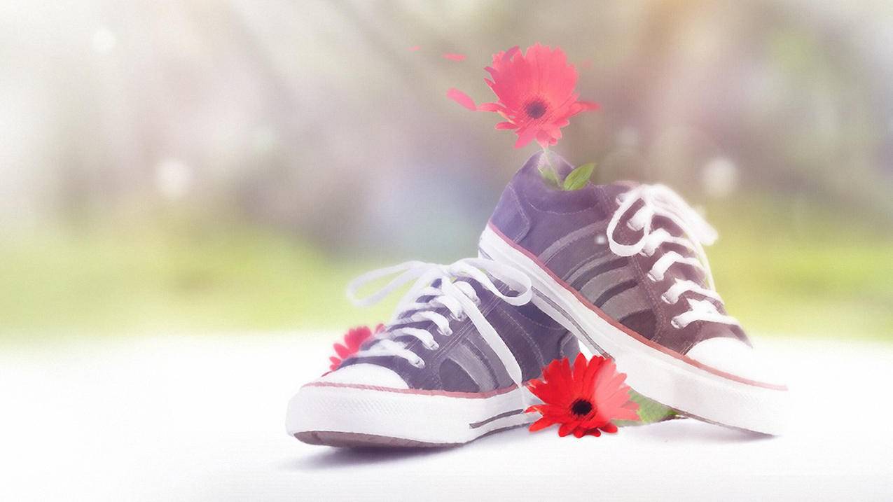 日区日本appleid绑定信用卡_苹果注册日本id怎么跳过信用卡 - 日本苹果ID - 55dz账号网