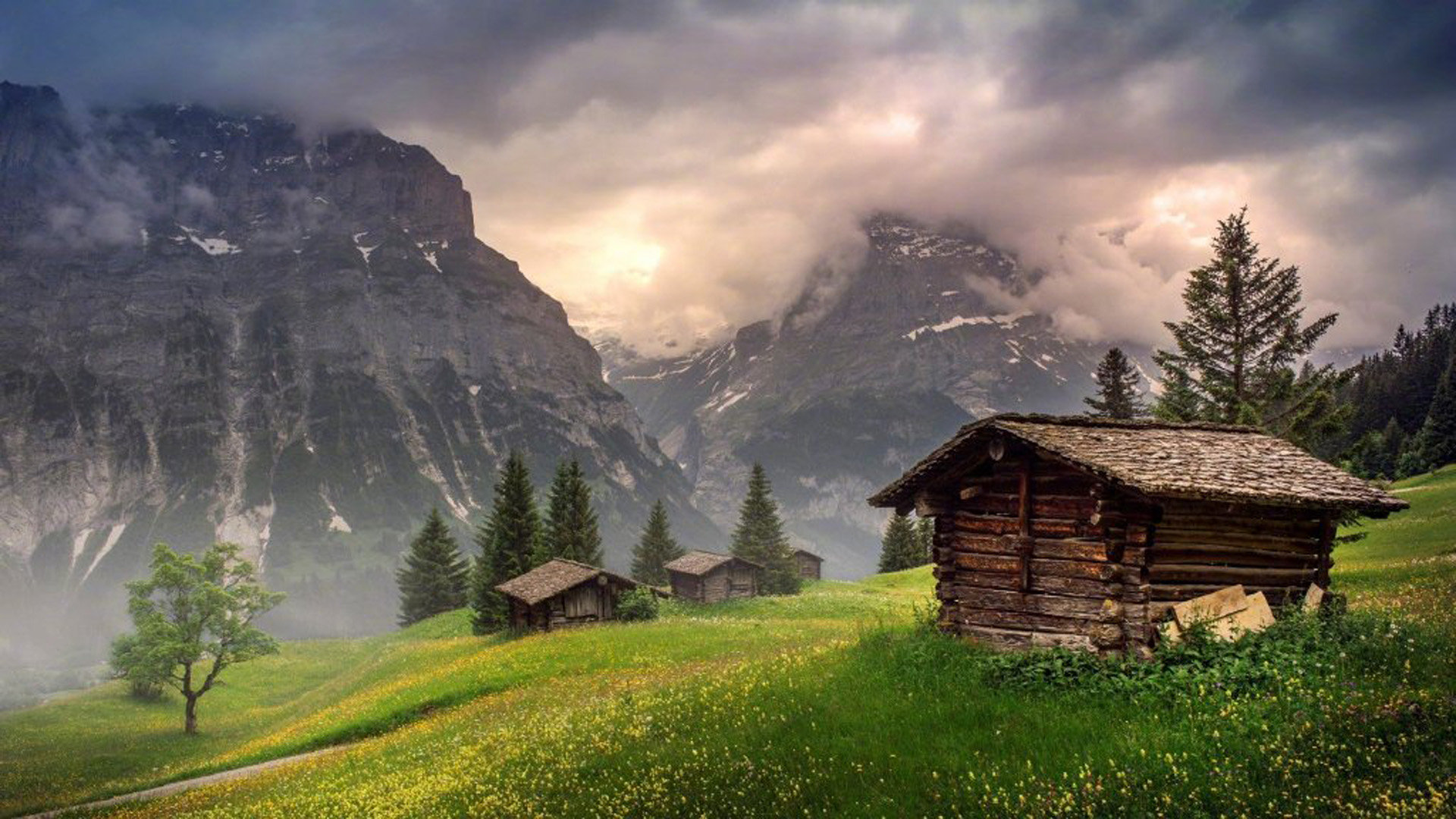 nba2kol2球员数据更新在哪里看_怎么看nba2kol2球员数据更新 - IOS分享 - 55dz账号网