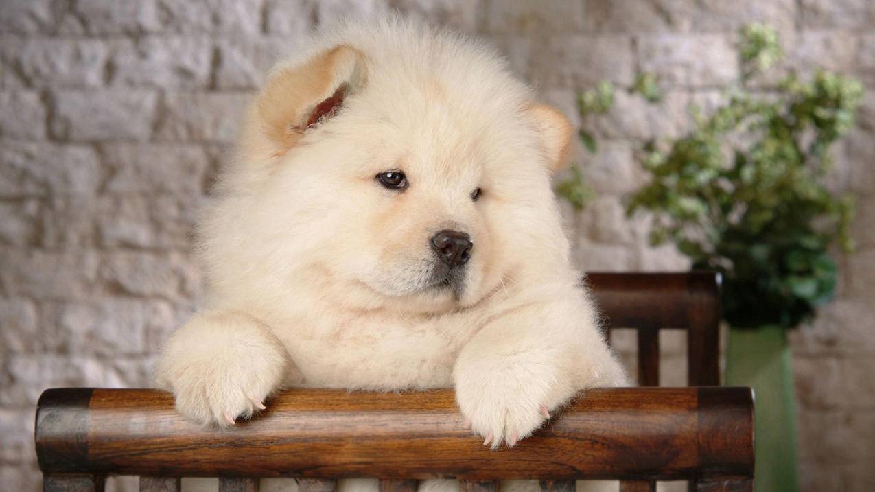 godot节点_godot节点隐藏 - 注册外服方法 - 55dz账号网