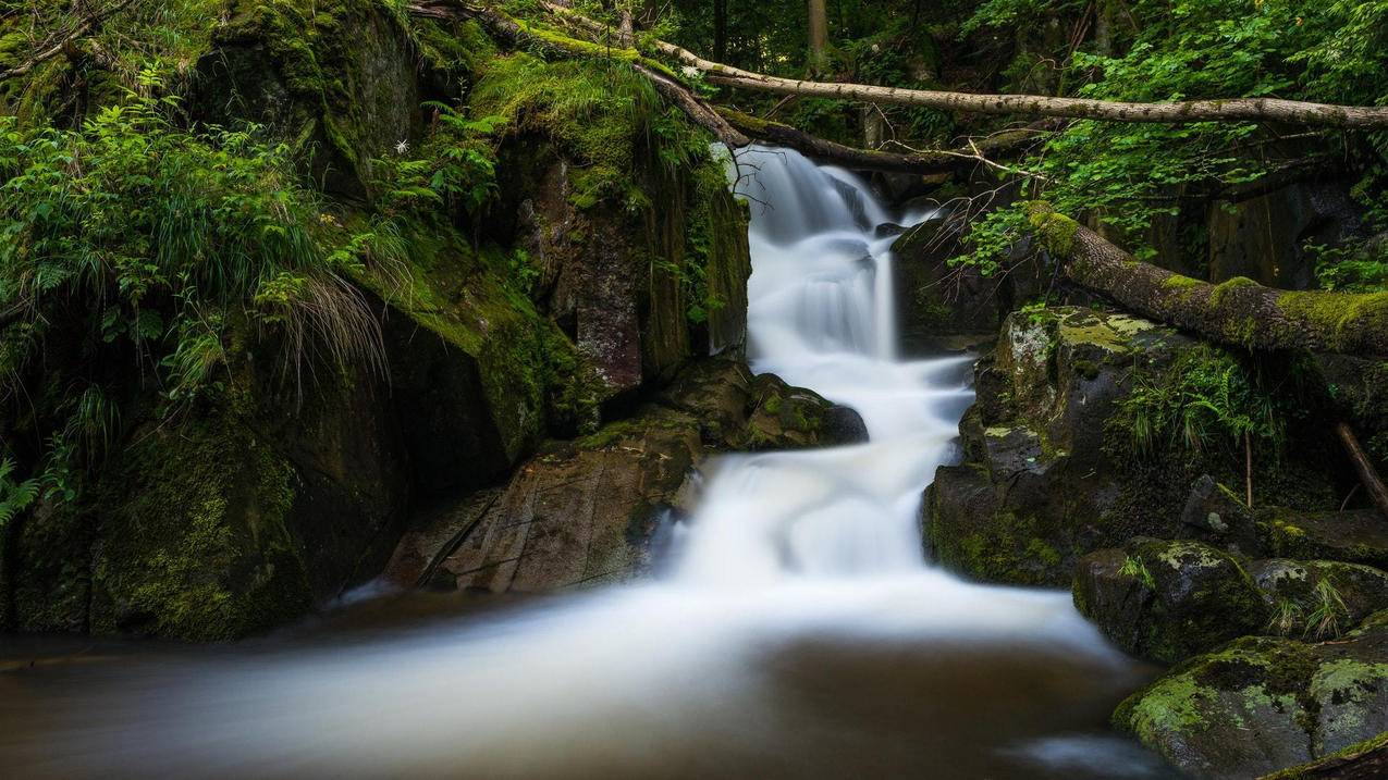 快手刷赞平台小林 - 说说赞自助下单意中人,0.01元1000赞代刷网,点进去只有3个,刷qq空间访客的软件