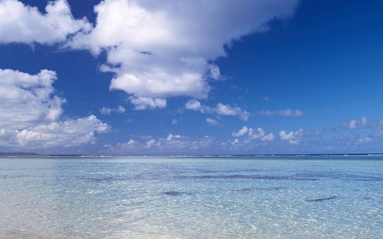 注册意大利appleid_注册意大利品牌 - 注册外服方法 - 55dz账号网