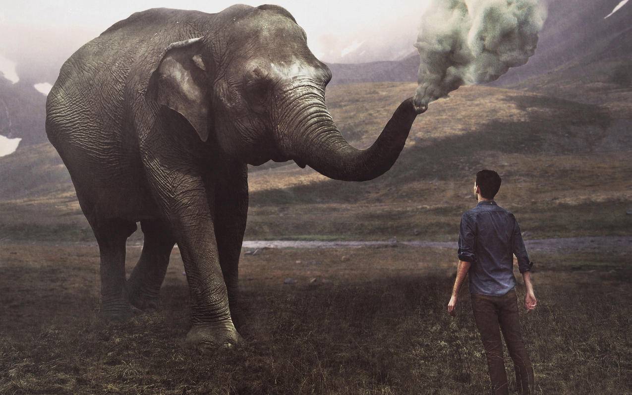 网红商城买赞软件 - 刷快手浏览和双击的网址