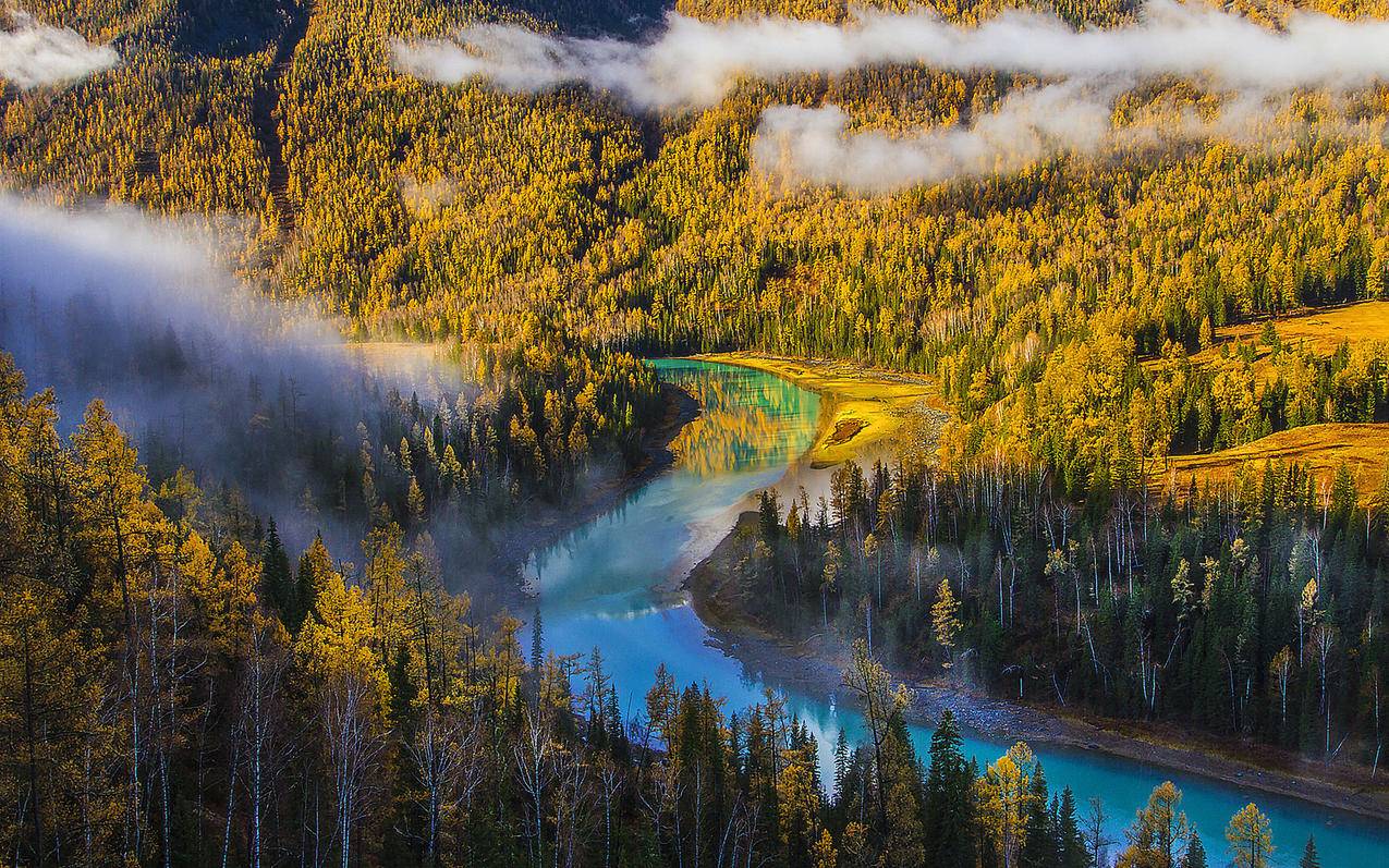 怎样获取苹果手机ID账号和密码 ， 苹果手机怎么看apple id密码?  - 55dz账号网