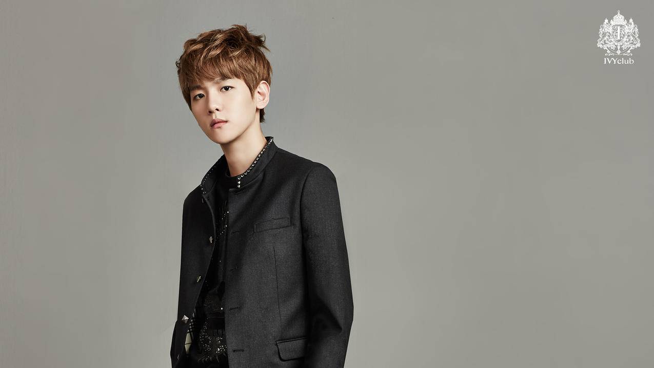 千知路盟tiktok培训怎么样_tiktok培训哪家好 - tiktok相关 - 55dz账号网