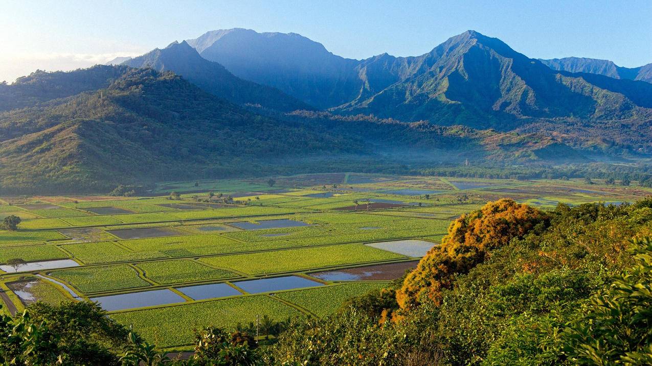 2024年免费的苹果美国id最新账号密码分享[今日限定]_海外账号购买网