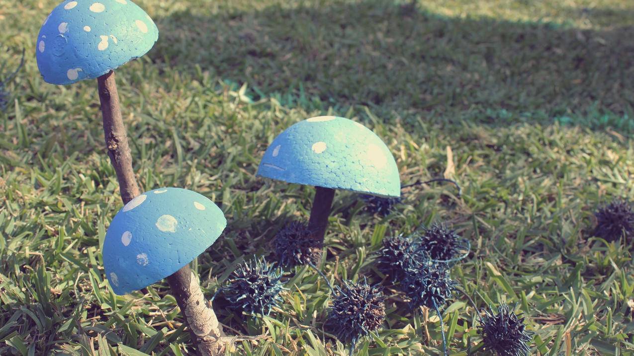 越南appleid充值余额怎么退款 - 各区苹果ID - 55dz账号网