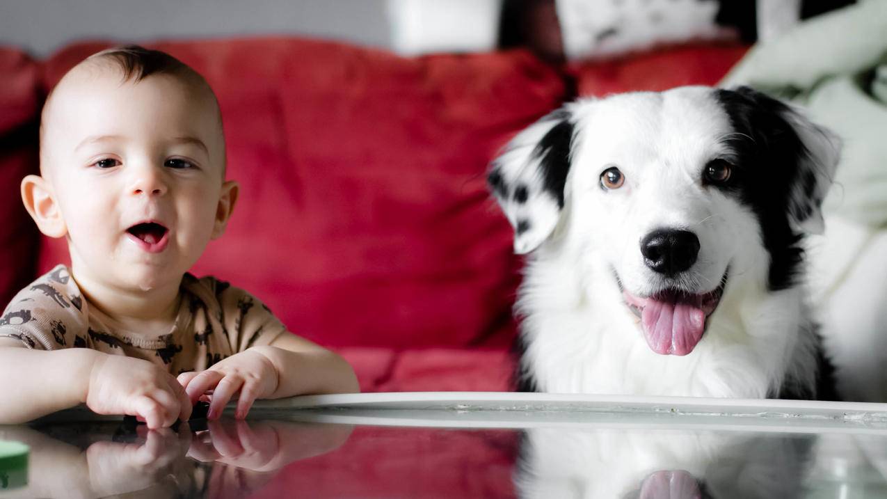 抖音买赞1块500个 - 抖音业务自助平台,QQ代刷网520代刷网,抖音刷赞网站微信支付