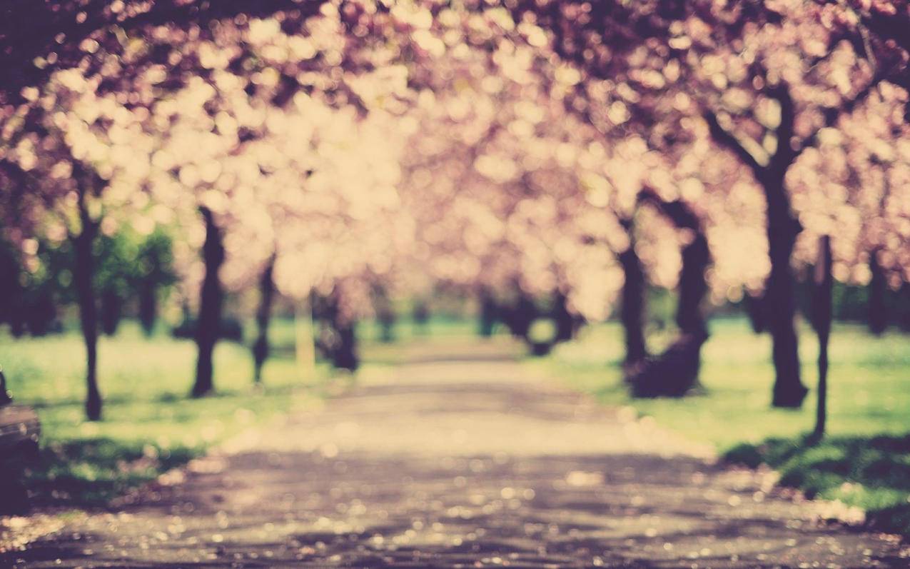 微信视屏号哪里制作好呢 - 低价下单平台 - ks业务网