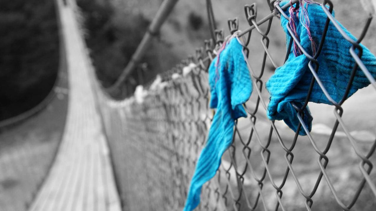 修液压油管附近有吗_附近有没有压液压油管的地方 - youtube相关 - 55dz账号网