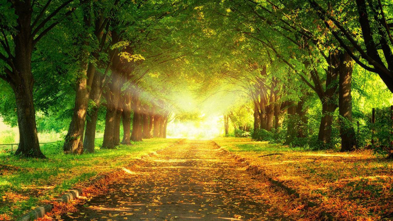 iphone越南id密码在哪里找 - 各区苹果ID - 55dz账号网