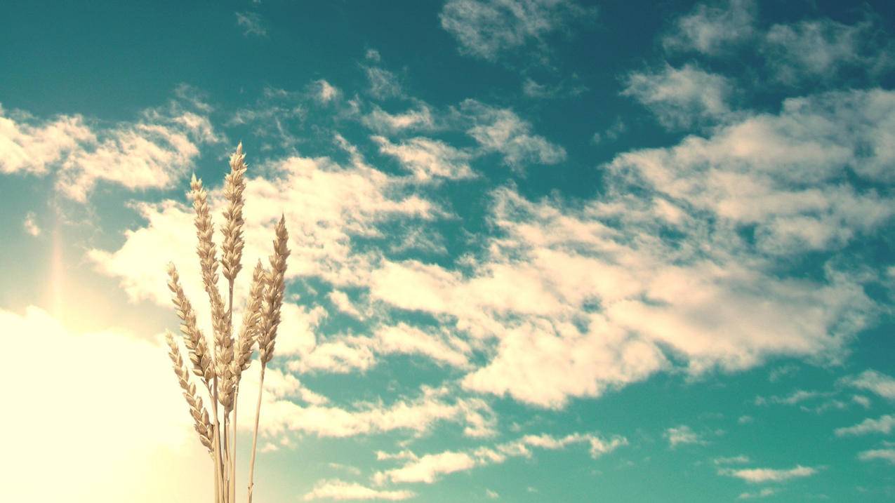 在线解防沉迷网站 - qq等级代挂,刷qq名片赞666,免费领取1000个快手粉丝