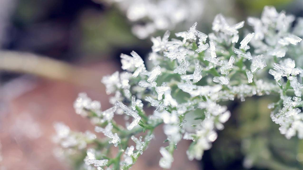 ipad更换越南appleid账号（如何更换ipad apple id账号） - 各区苹果ID - 55dz账号网