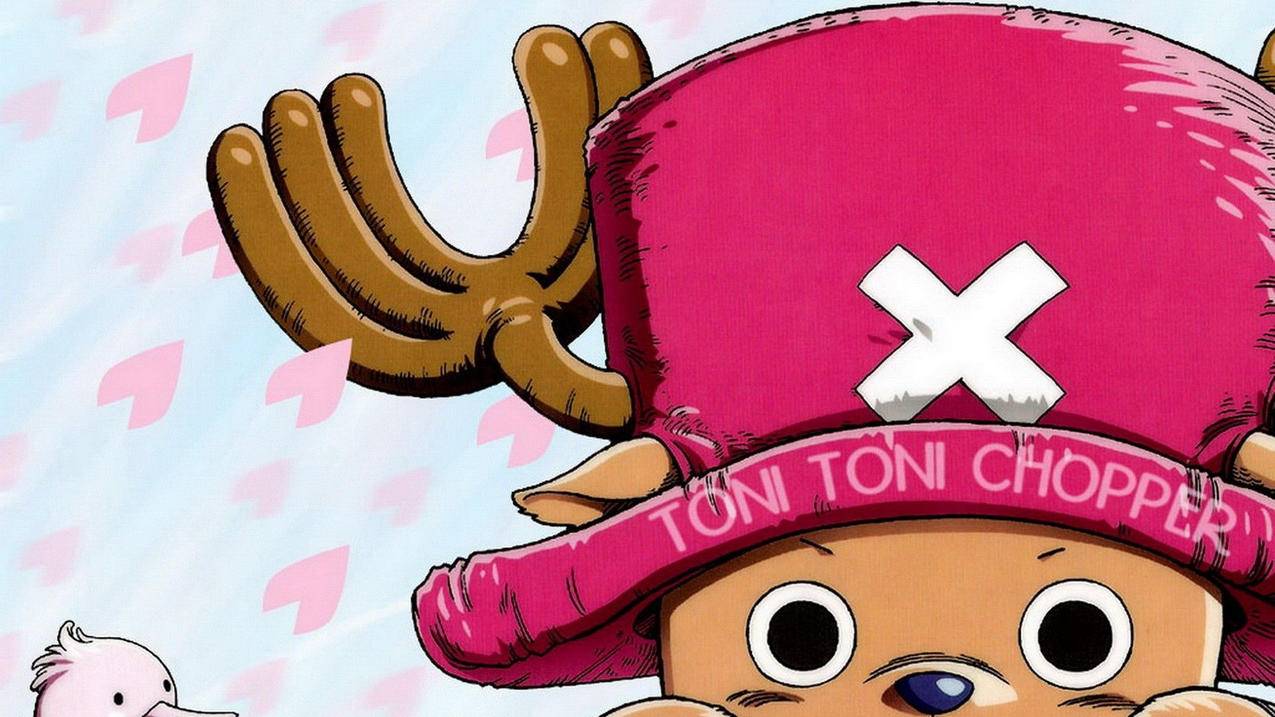 忘记台湾appleid密码怎么抹掉iphone所有数据_忘记id密码如何抹掉iphone - 台湾苹果ID - 55dz账号网