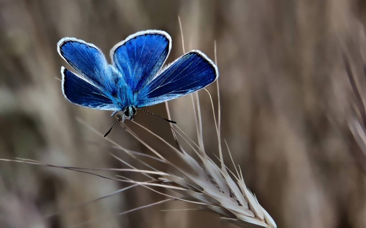 sky加速器下载官网手机_sky加速器安卓官网 - skype相关 - 55dz账号网
