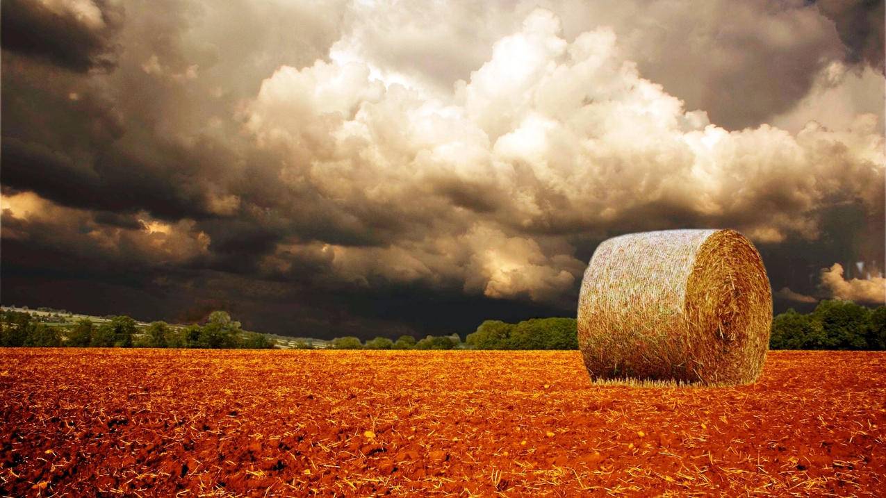 tiktok国际版百度云资源_tiktok国际版有什么资源 - 苹果APP下载 - 55dz账号网