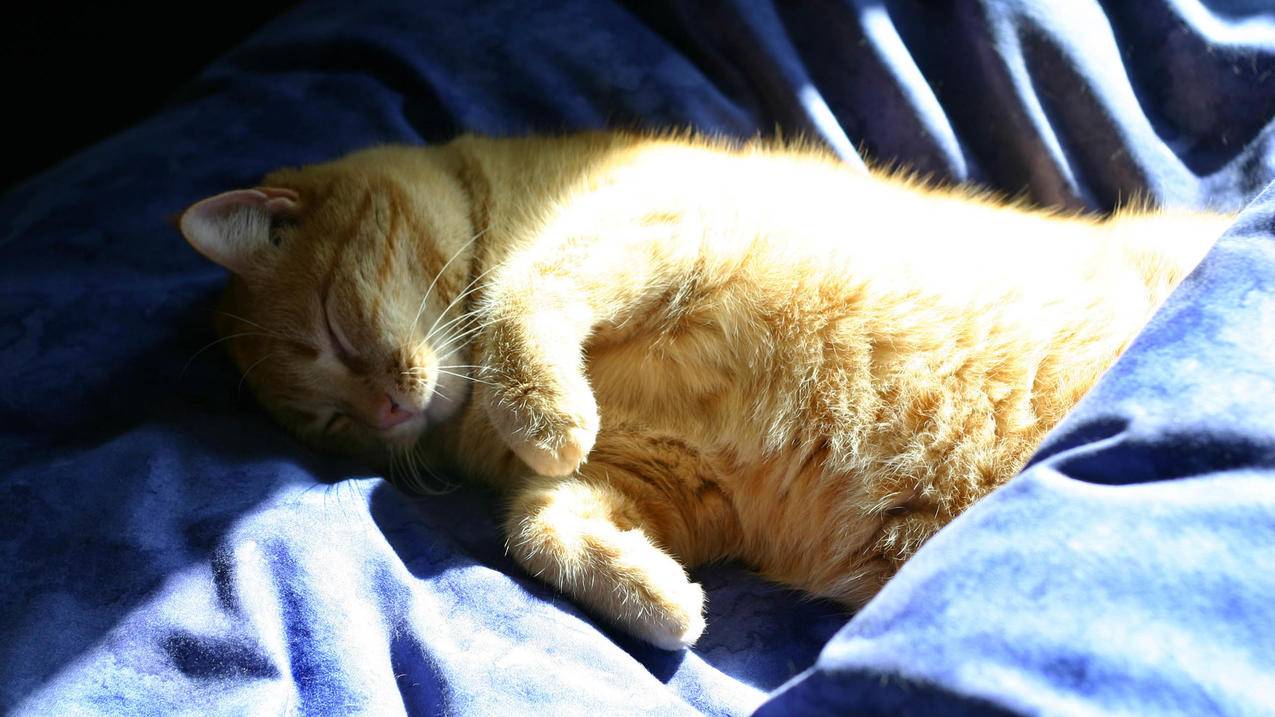 怎么查看对方微信在线吗_如何查看对方是否微信在线 - messenger相关 - 55dz账号网