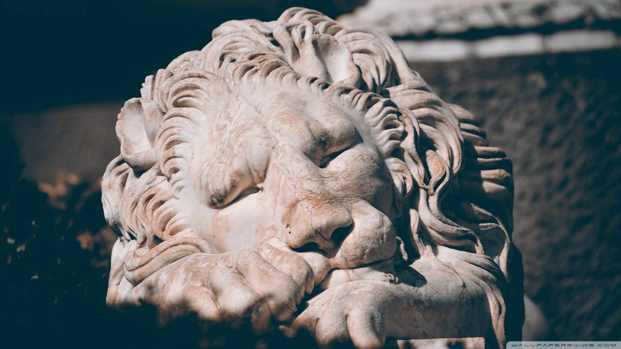 TikTok小店开通教程：详细步骤+常见问题解答-苹果id平台