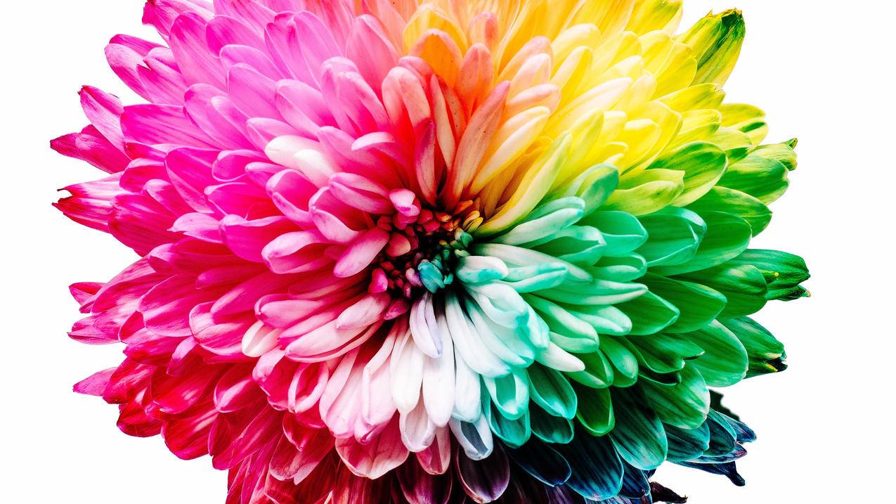 clash怎么查流量_东宁特遣队和远东特遣队 - clash相关 - 55dz账号网