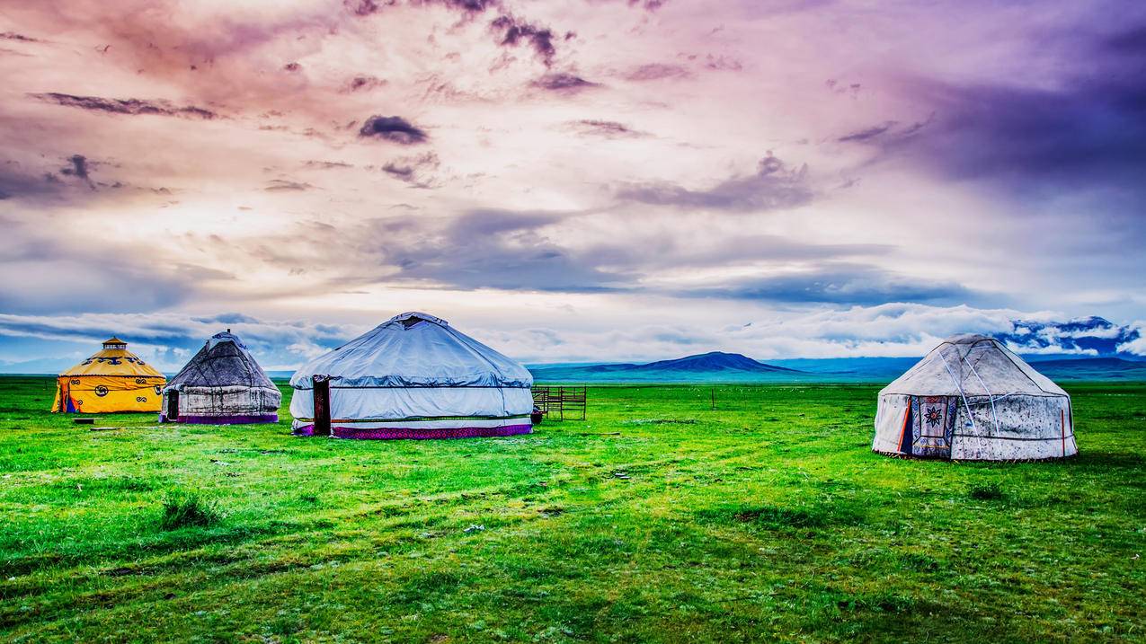 googlevoice安卓下载2021_google apk 2021 - google相关 - 55dz账号网