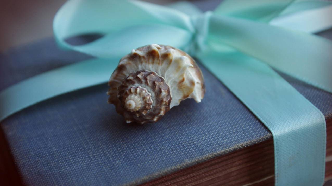 店铺关联后怎么取消 - ks自助下单 - ks业务下单