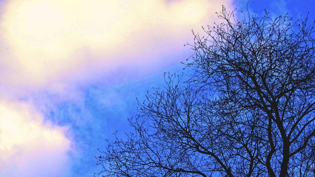 nba2k系列哪个不用联网_nba2k必须连接网络 - IOS分享 - 55dz账号网