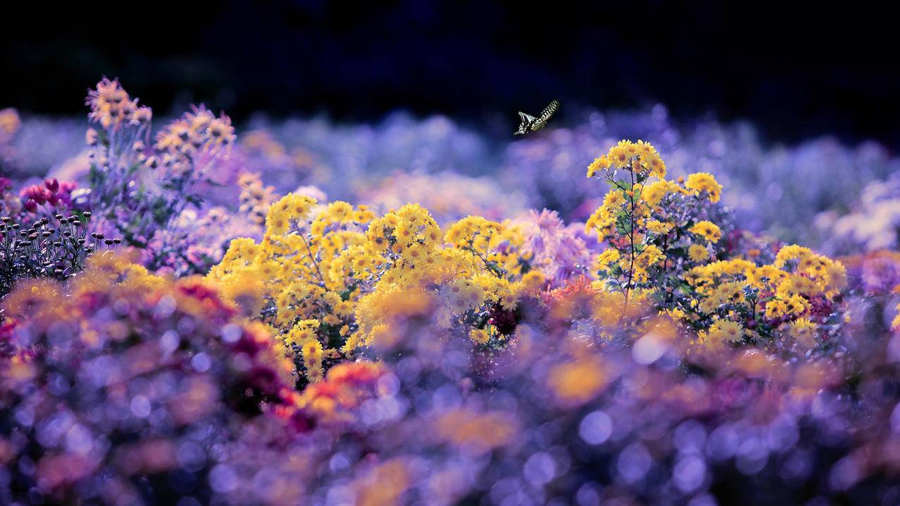 苹果手机如何跳过激活ID的步骤呢? ， 苹果激活锁怎么强制跳过  - 55dz账号网