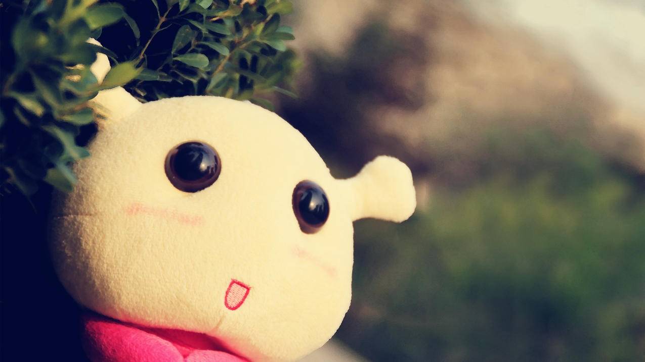 最新菲律宾苹果id分享（最新菲律宾苹果id分享） - 各区苹果ID - 55dz账号网