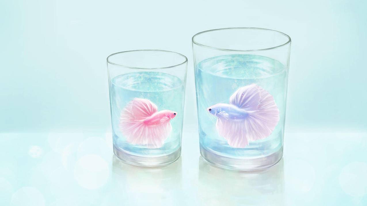 王者荣耀主页刷赞平台 - 快手全网最低价业务平台,qq卡盟平台官网