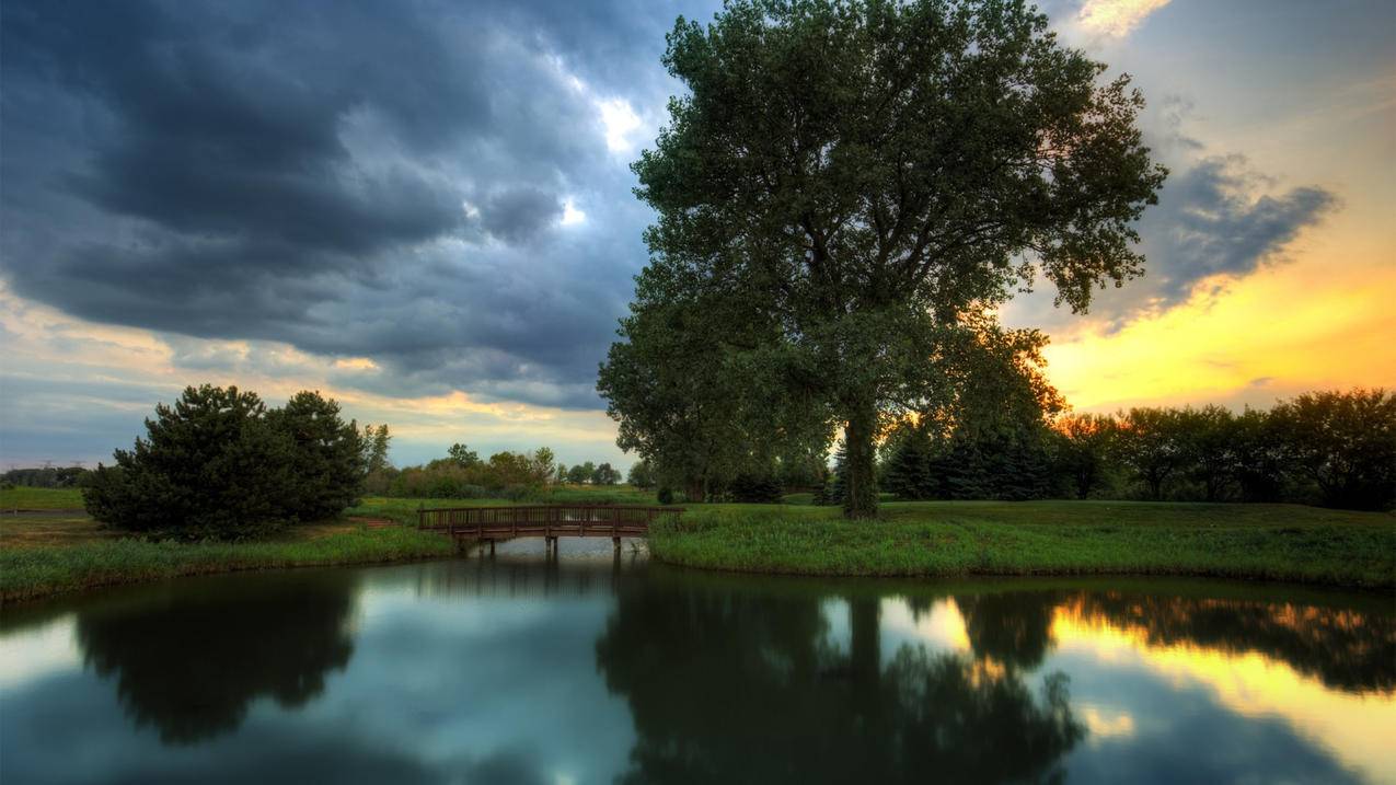 dy业务下单平台,网红业务自助下单平台_dy低价业务