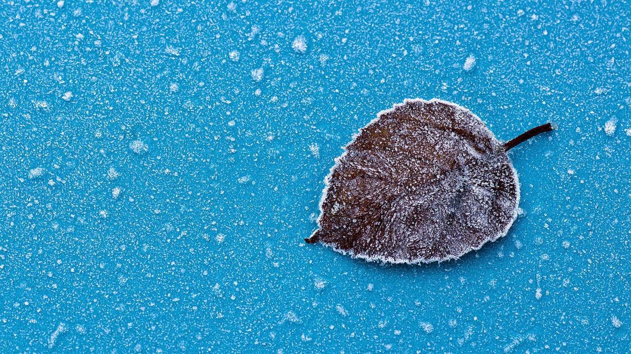 菲律宾apple id账号密码忘了怎么办激活锁（菲律宾号码怎么注册苹果id） - 各区苹果ID - 55dz账号网