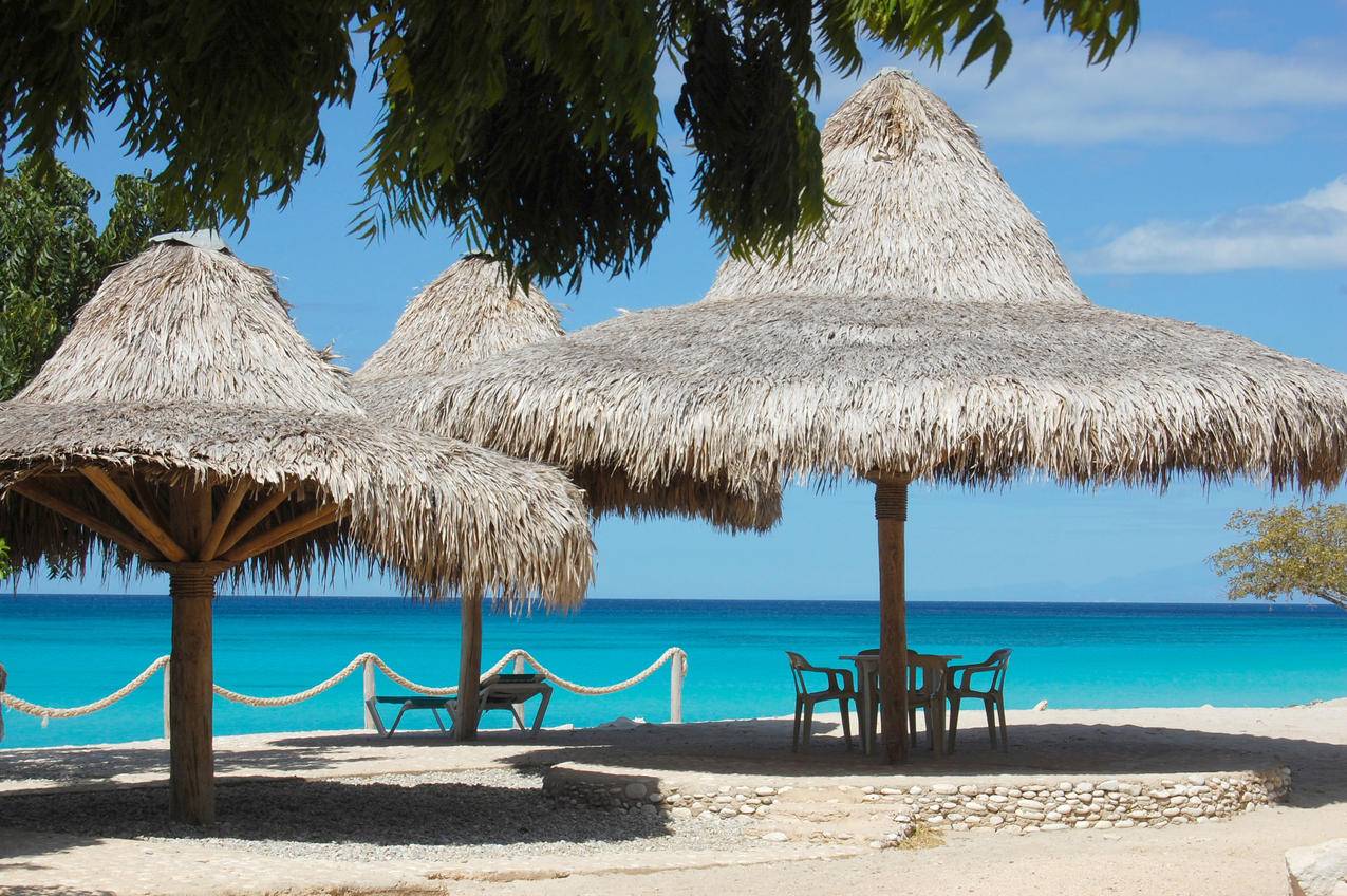 流放之路国服win10泥人模式设置方法  ( 做火箭视频教程 ) - 55dz账号网