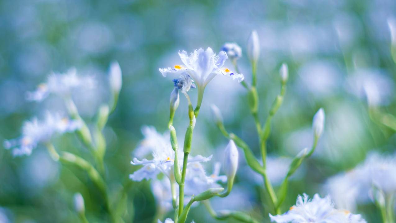 谷歌支付能绑香草卡吗  ( 谷歌开发者付费用什么卡 ) - 55dz账号网