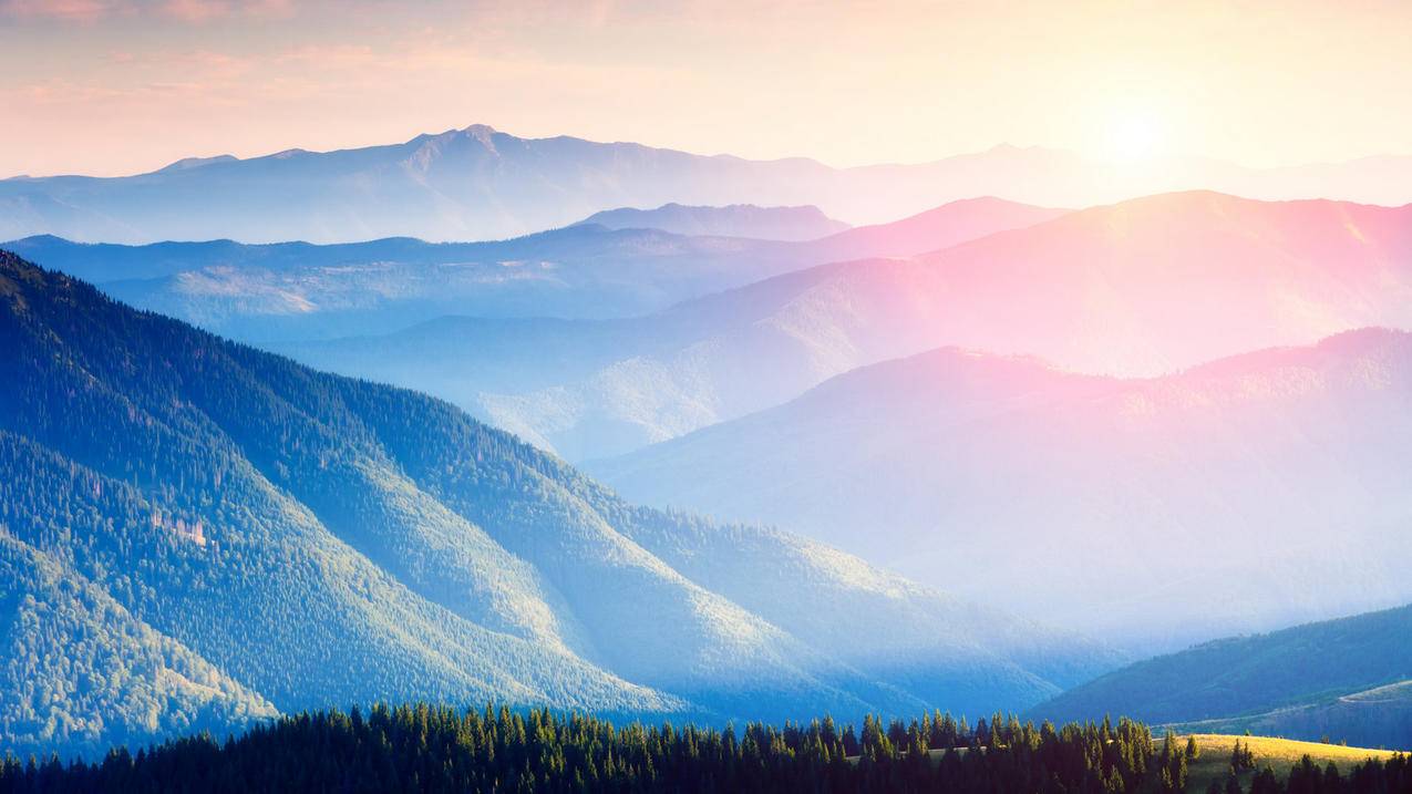 千川如何设置放量？ - 低价业务 - dy业务网