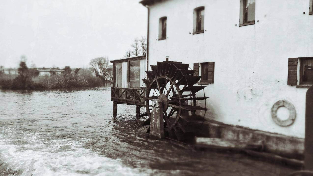 拼多多砍价怎么浏览商品-dy业务网