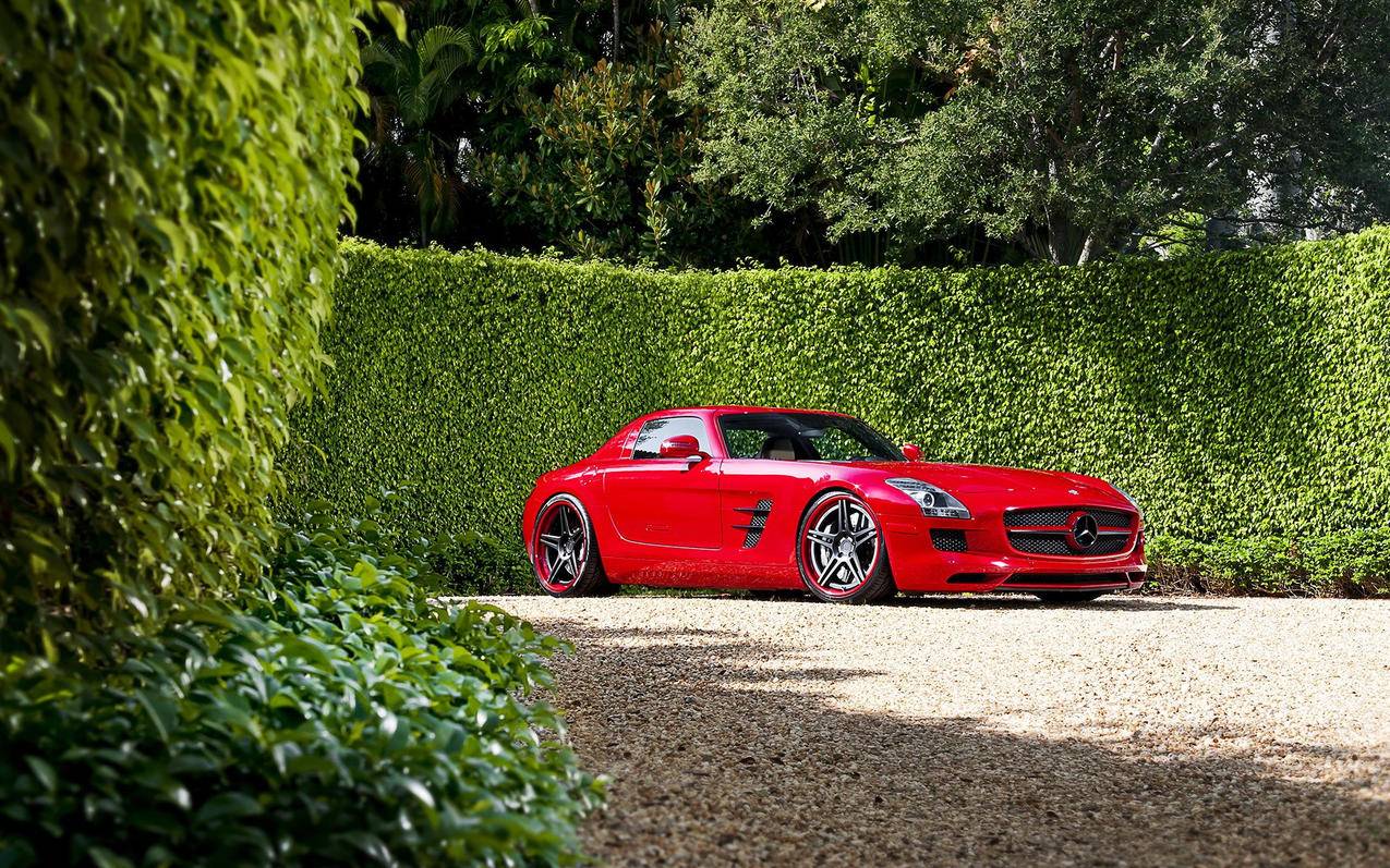 更新appleid设置一直在转圈_iphone12更新apple id设置一直在转圈 - Apple ID相关 - 55dz账号网