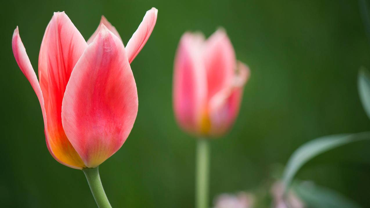 芬兰App Store安全账号分享[最新未锁定]_海外账号购买网