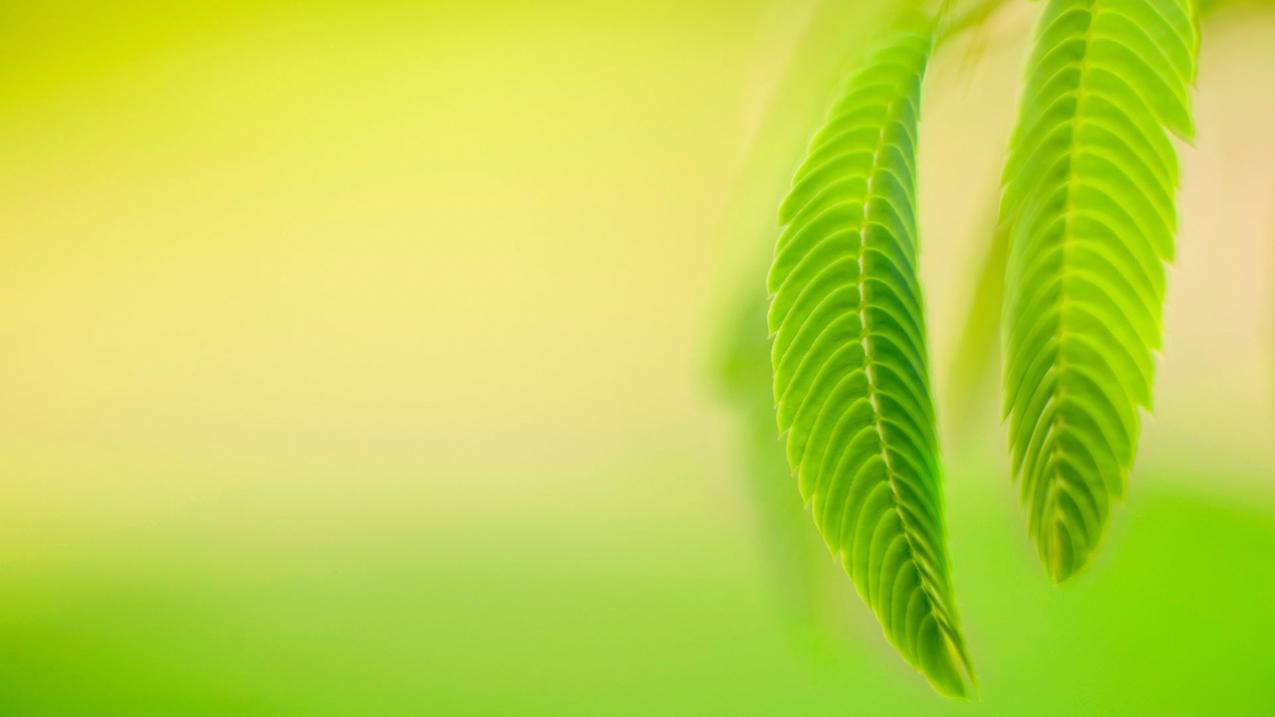 ins拍照锐化严重_ins为什么会把照片锐化 - INS相关 - 55dz账号网